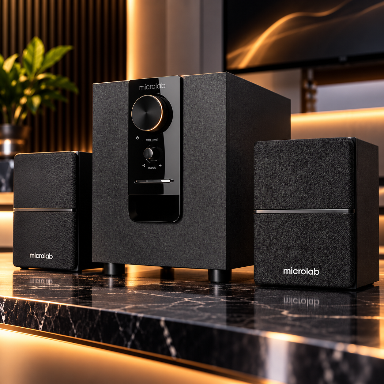 Microlab 2.1 Speaker System